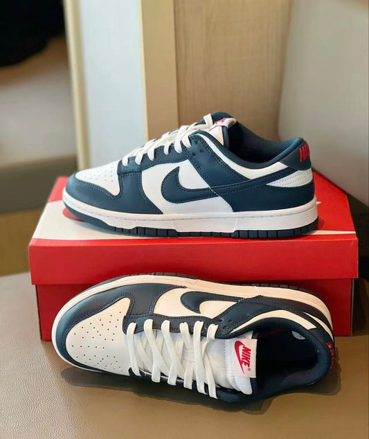 Nike Dunk Low "Valerian Blue" 白藏青 （DD1391-400）