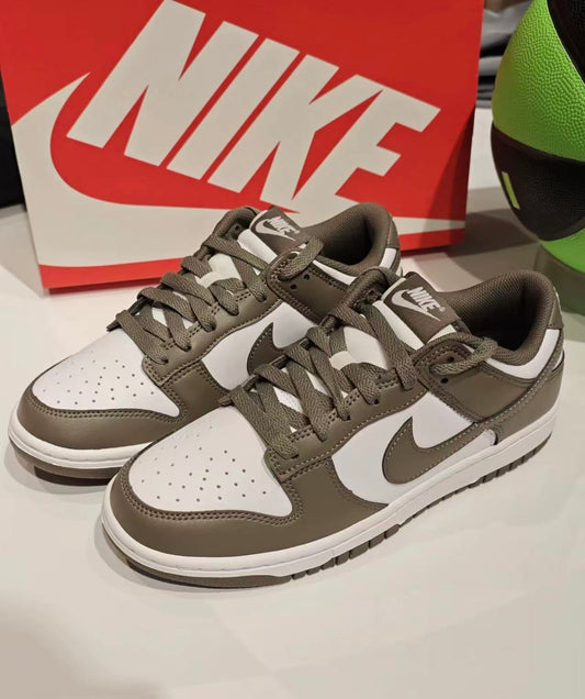 Nike Dunk Low 白灰色 （HF5441-111）